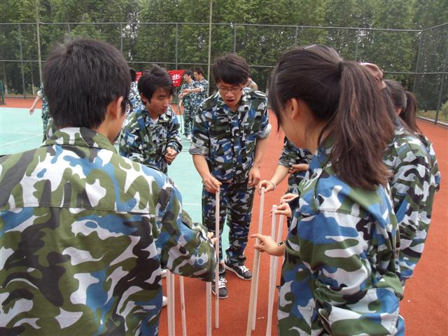 不倒松林
